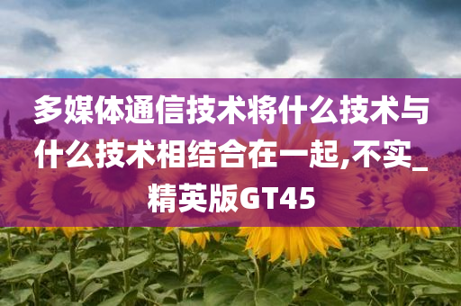 多媒体通信技术将什么技术与什么技术相结合在一起,不实_精英版GT45