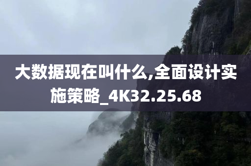 大数据现在叫什么,全面设计实施策略_4K32.25.68