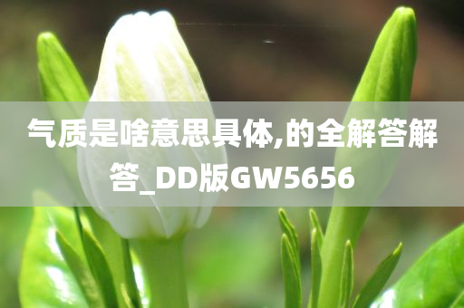 气质是啥意思具体,的全解答解答_DD版GW5656