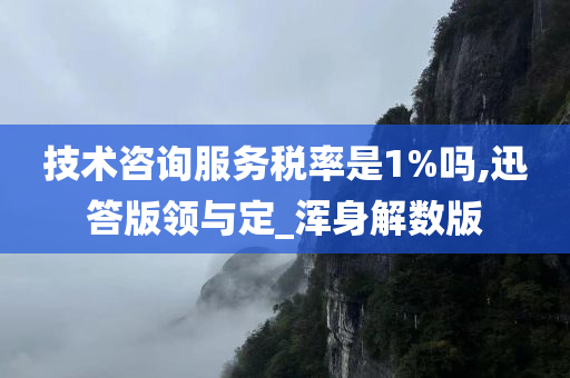 技术咨询服务税率是1%吗,迅答版领与定_浑身解数版