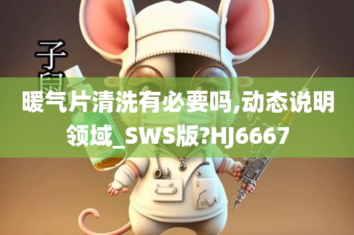 暖气片清洗有必要吗,动态说明领域_SWS版?HJ6667