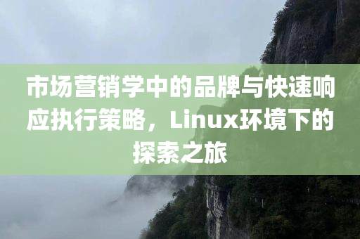 市场营销学中的品牌与快速响应执行策略，Linux环境下的探索之旅