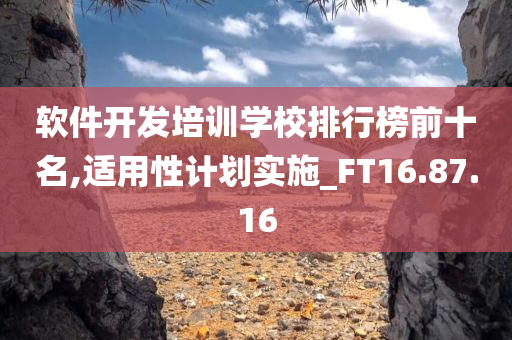 软件开发培训学校排行榜前十名,适用性计划实施_FT16.87.16