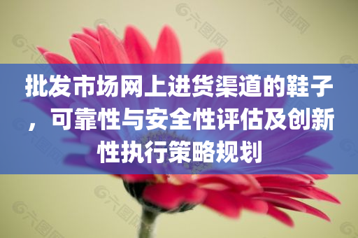 批发市场网上进货渠道的鞋子，可靠性与安全性评估及创新性执行策略规划