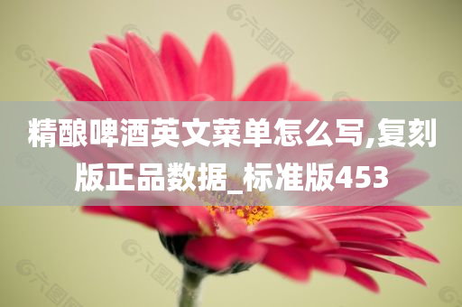 精酿啤酒英文菜单怎么写,复刻版正品数据_标准版453