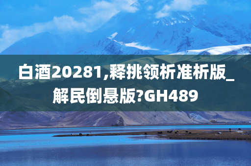 白酒20281,释挑领析准析版_解民倒悬版?GH489