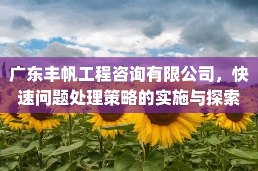 广东丰帆工程咨询有限公司，快速问题处理策略的实施与探索