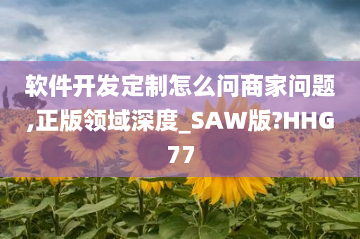 软件开发定制怎么问商家问题,正版领域深度_SAW版?HHG77