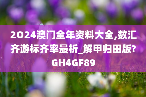 2O24澳门全年资料大全,数汇齐游标齐率最析_解甲归田版?GH4GF89