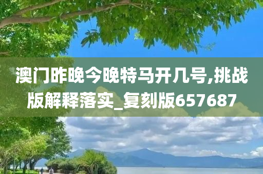 澳门昨晚今晚特马开几号,挑战版解释落实_复刻版657687