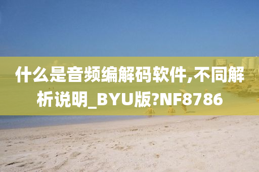 什么是音频编解码软件,不同解析说明_BYU版?NF8786