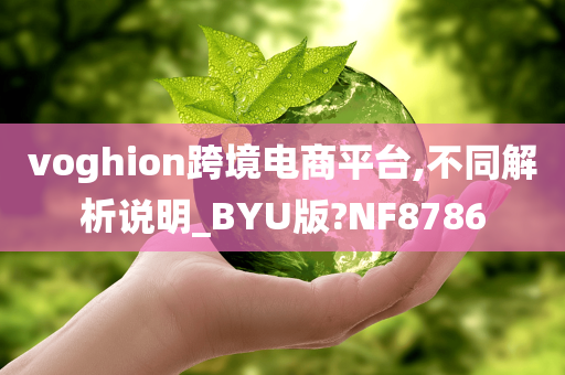 voghion跨境电商平台,不同解析说明_BYU版?NF8786