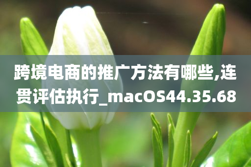 跨境电商的推广方法有哪些,连贯评估执行_macOS44.35.68