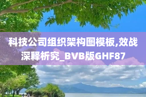 科技公司组织架构图模板,效战深释析究_BVB版GHF87