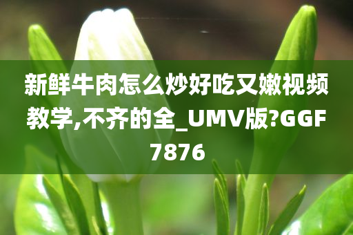 新鲜牛肉怎么炒好吃又嫩视频教学,不齐的全_UMV版?GGF7876