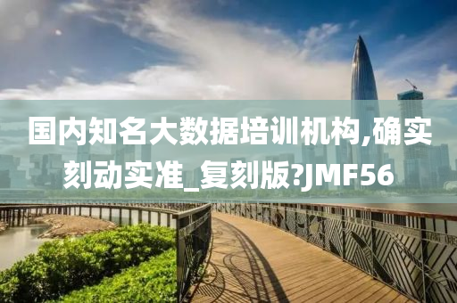 国内知名大数据培训机构,确实刻动实准_复刻版?JMF56