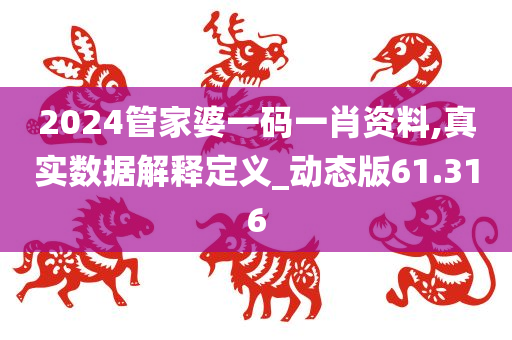 2024管家婆一码一肖资料,真实数据解释定义_动态版61.316