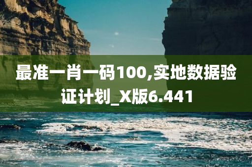 最准一肖一码100,实地数据验证计划_X版6.441