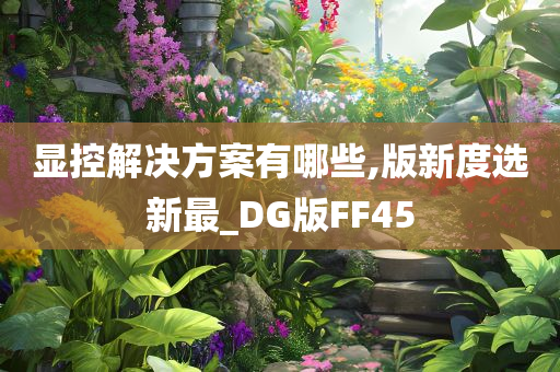 显控解决方案有哪些,版新度选新最_DG版FF45