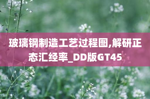 玻璃钢制造工艺过程图,解研正态汇经率_DD版GT45