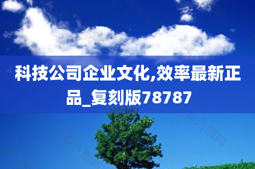 科技公司企业文化,效率最新正品_复刻版78787