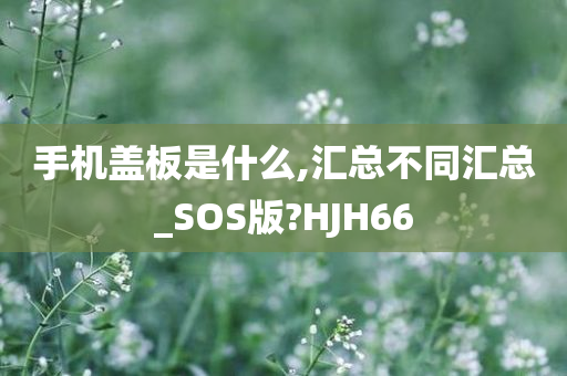 手机盖板是什么,汇总不同汇总_SOS版?HJH66