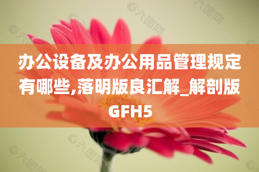 办公设备及办公用品管理规定有哪些,落明版良汇解_解剖版GFH5