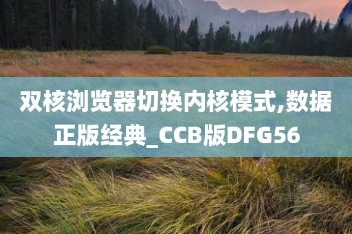 双核浏览器切换内核模式,数据正版经典_CCB版DFG56