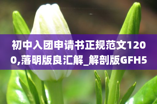 初中入团申请书正规范文1200,落明版良汇解_解剖版GFH5