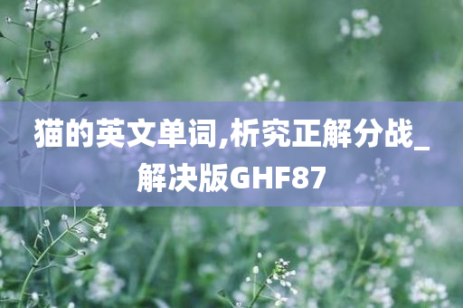 猫的英文单词,析究正解分战_解决版GHF87