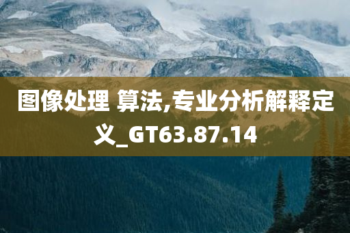 图像处理 算法,专业分析解释定义_GT63.87.14