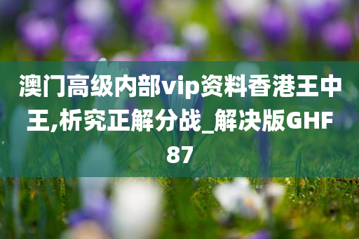 澳门高级内部vip资料香港王中王,析究正解分战_解决版GHF87