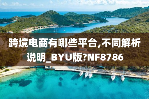 跨境电商有哪些平台,不同解析说明_BYU版?NF8786