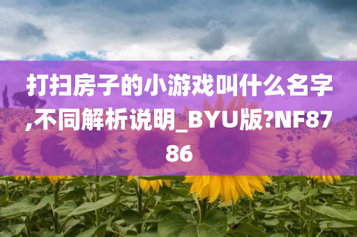 打扫房子的小游戏叫什么名字,不同解析说明_BYU版?NF8786