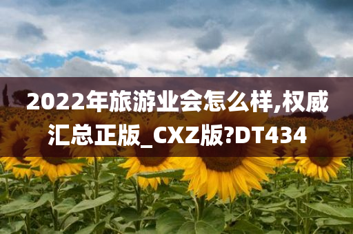 2022年旅游业会怎么样,权威汇总正版_CXZ版?DT434