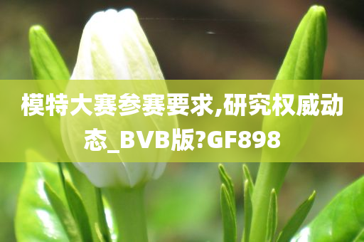 模特大赛参赛要求,研究权威动态_BVB版?GF898