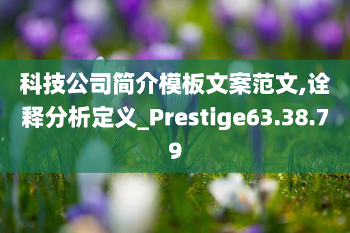 科技公司简介模板文案范文,诠释分析定义_Prestige63.38.79