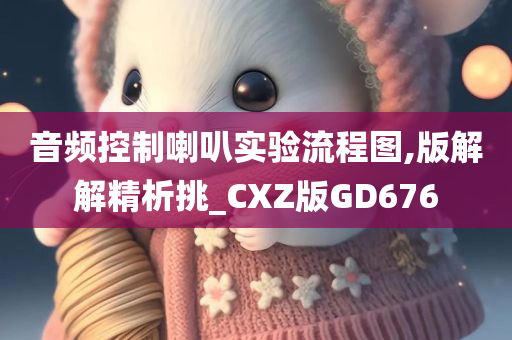 音频控制喇叭实验流程图,版解解精析挑_CXZ版GD676