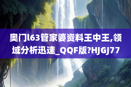 奥门l63管家婆资料王中王,领域分析迅速_QQF版?HJGJ77