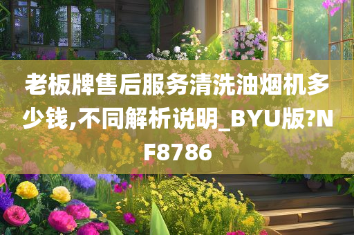 老板牌售后服务清洗油烟机多少钱,不同解析说明_BYU版?NF8786