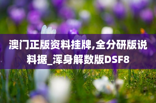 澳门正版资料挂牌,全分研版说料据_浑身解数版DSF8