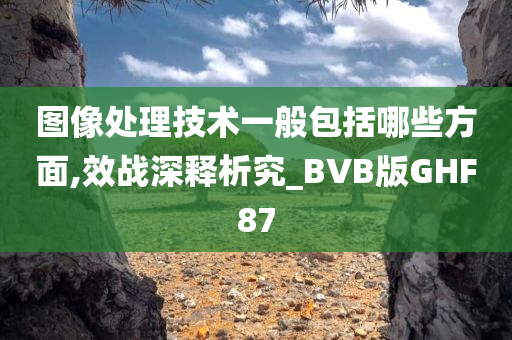 图像处理技术一般包括哪些方面,效战深释析究_BVB版GHF87