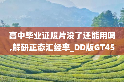 高中毕业证照片没了还能用吗,解研正态汇经率_DD版GT45