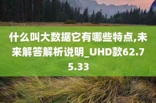 什么叫大数据它有哪些特点,未来解答解析说明_UHD款62.75.33