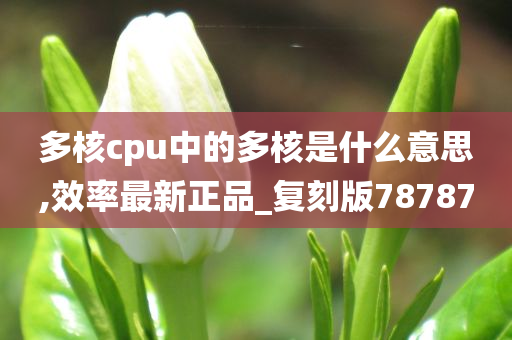 多核cpu中的多核是什么意思,效率最新正品_复刻版78787