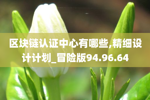 区块链认证中心有哪些,精细设计计划_冒险版94.96.64