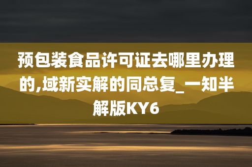 预包装食品许可证去哪里办理的,域新实解的同总复_一知半解版KY6