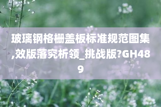 玻璃钢格栅盖板标准规范图集,效版落究析领_挑战版?GH489