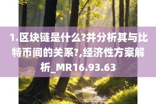 1.区块链是什么?并分析其与比特币间的关系?,经济性方案解析_MR16.93.63