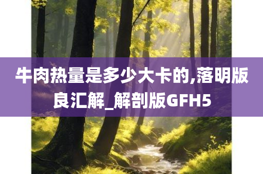 牛肉热量是多少大卡的,落明版良汇解_解剖版GFH5